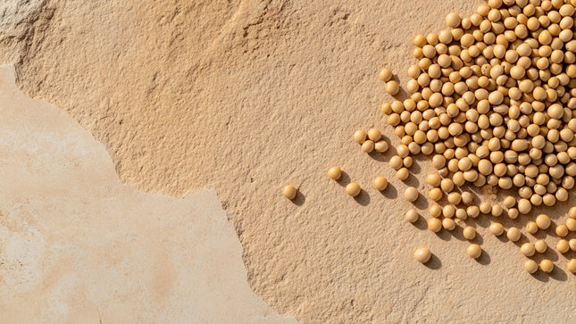 Hemp Protein vs. Pea Protein: Which One Is Better for You?