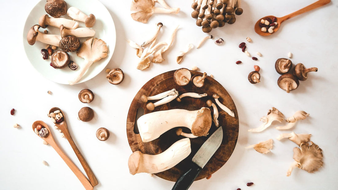 Adaptogens 101: What They Are and Why Your Body Needs Them